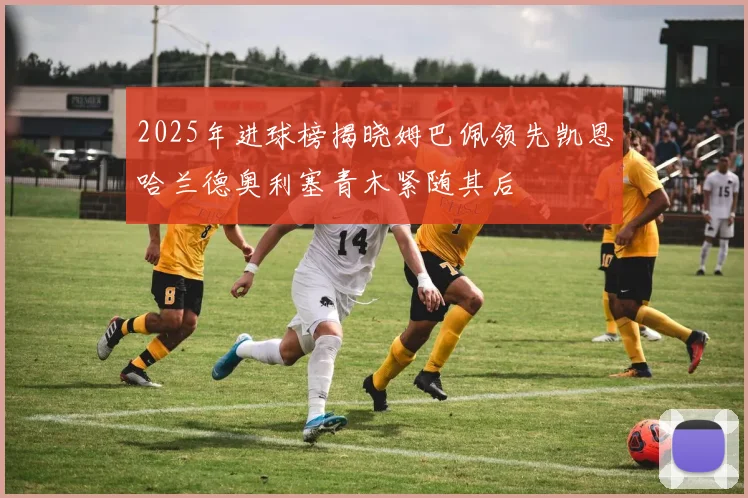 2025年进球榜揭晓姆巴佩领先凯恩哈兰德奥利塞青木紧随其后