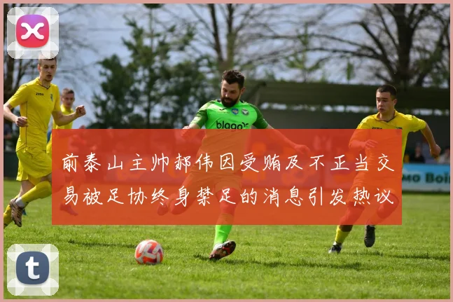 前泰山主帅郝伟因受贿及不正当交易被足协终身禁足的消息引发热议