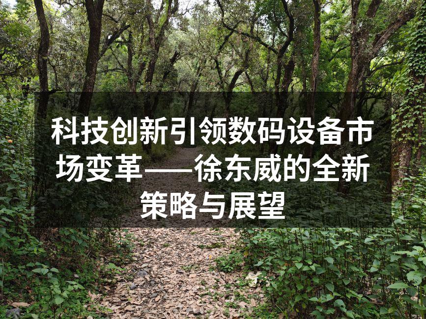 科技创新引领数码设备市场变革——徐东威的全新策略与展望